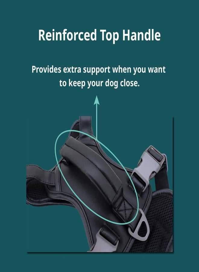 كاناجان سرج كلاب من الجلد النباتي من كاناغان، مناسب للكلاب المتوسطة والكبيرة، تصميم متين، خالٍ من القسوة، يمنع الشد، مزود بمقبض ومشبكين للرباط، سترة قابلة للتعديل - أسود، مقاس كبير - Image 3